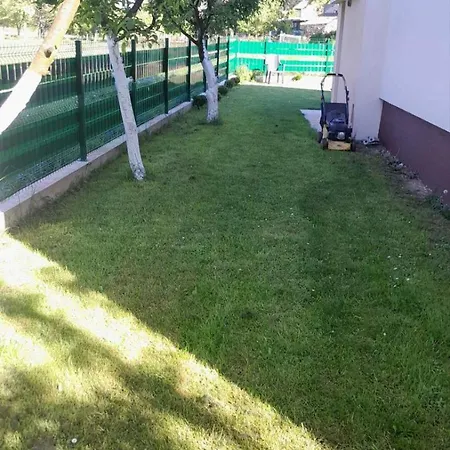 Sead Doglodi